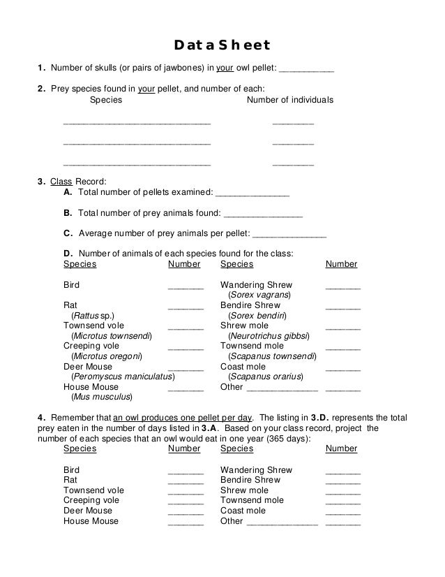 Worksheets Owl Pellet Dissection Worksheet owl pellet worksheet sharebrowse dissection karibunicollies