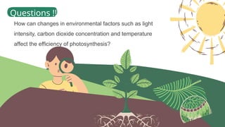 Biology Photosynthesis for grade (7) very important | PPTX