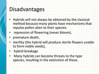 biology plants.pptx