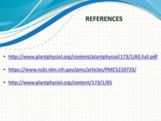 Biology Article Reference Examples biology plants.pptx