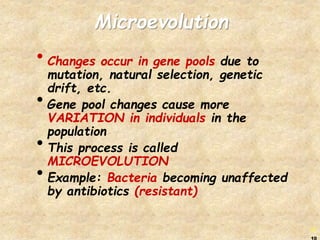 biology population genetics chapter 17.ppt