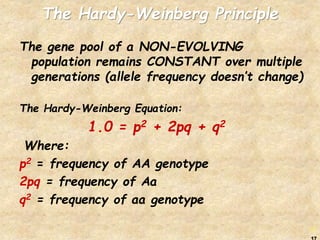 biology population genetics chapter 17.ppt
