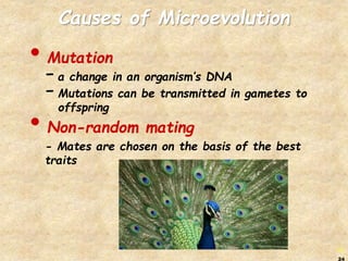 biology population genetics chapter 17.ppt