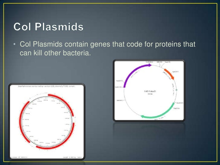 Biology powerpoint