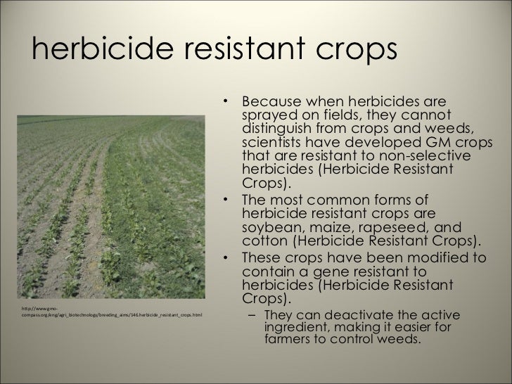 biology ppt crops ppt