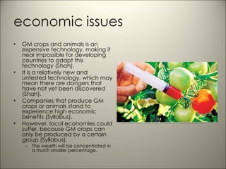 GM crops and animals is an expensive technology, making it near impossible for developing countries to adapt this technology (Shah). It is a relatively new and untested technology, which may mean there are dangers that have not yet been discovered (Shah). Companies that produce GM crops or animals stand to experience high economic benefits (Syllabus).  However, local economies could suffer, because GM crops can only be produced by a certain group (Syllabus). The wealth will be concentrated in a much smaller percentage.  http://www.google.com/imgres?imgurl=http://www.encognitive.com/files/images/gmo-seeds-of-deception-cancer-heart-disease-unhealthy.jpg&imgrefurl=http://www.encognitive.com/node/10284&usg=__3Hj5gJH6YTJ9Qk8JHK--rGN-2zE=&h=280&w=468&sz=33&hl=en&start=30&sig2=_YnyE7RvzGwj3_opwys2gA&zoom=1&tbnid=xhJmmoIBHsI9SM:&tbnh=103&tbnw=172&ei=JNZmTfDoIpSksQO9qsymBA&prev=/images%3Fq%3Dgenetically%2Bmodified%2Bcrops%26um%3D1%26hl%3Den%26sa%3DN%26biw%3D1280%26bih%3D709%26tbs%3Disch:1&um=1&itbs=1&iact=hc&vpx=330&vpy=114&dur=1285&hovh=174&hovw=290&tx=141&ty=58&oei=2tVmTb77HYa2sAOAzO2oBA&page=2&ndsp=30&ved=1t:429,r:2,s:30 