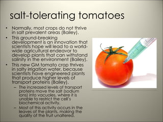 salt-tolerating tomatoes Normally, most crops do not thrive in salt prevalent areas (Bailey).  This ground-breaking development is an innovation that scientists hope will lead to a world-wide agricultural endeavor to develop plants that can withstand salinity in the environment (Bailey).  This new GM tomato crop thrives in salty irrigation water, because scientists have engineered plants that produce higher levels of transport proteins (Bailey). The increased levels of transport proteins move the salt (sodium ions) into vacuoles, where it is unable to restrict the cell’s biochemical activity.  Most of this activity occurs in the leaves of the plants, making the quality of the fruit unaltered.  http://www.google.com/imgres?imgurl=http://gcnaturalfamilyhealth.com/wp-content/uploads/2010/08/genetically-modified-foods.jpg&imgrefurl=http://gcnaturalfamilyhealth.com/genetically-modified-food-a-growing-debate/&usg=___WSfX_842Z_B2IXKheSiS4FV5j8=&h=313&w=400&sz=22&hl=en&start=0&sig2=oPI59ZRov9mUaM4Q3Ivt9w&zoom=1&tbnid=QJeR2SUtZ2iSCM:&tbnh=149&tbnw=190&ei=GPJmTYmUFpP6sAPzkeSoBA&prev=/images%3Fq%3Dgenetically%2Bmodified%2Btomatoes%26um%3D1%26hl%3Den%26sa%3DN%26biw%3D647%26bih%3D684%26tbs%3Disch:1&um=1&itbs=1&iact=hc&vpx=141&vpy=133&dur=428&hovh=199&hovw=254&tx=178&ty=46&oei=GPJmTYmUFpP6sAPzkeSoBA&page=1&ndsp=10&ved=1t:429,r:0,s:0 
