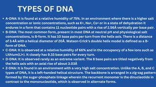 Biology PPT on RNA AND DNA free to download | PDF