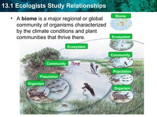 Biology ppt 13.1 | PPT