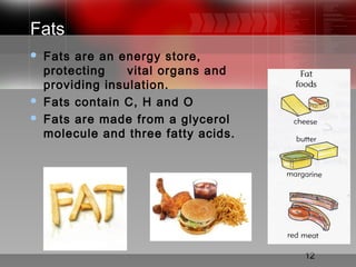 12
Fats
 Fats are an energy store,
protecting vital organs and
providing insulation.
 Fats contain C, H and O
 Fats are made from a glycerol
molecule and three fatty acids.
 