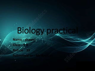 Biology practical
Name - shawej
Class - 9 B
Roll no - 33
Submitted to - Mr Arun sir
 