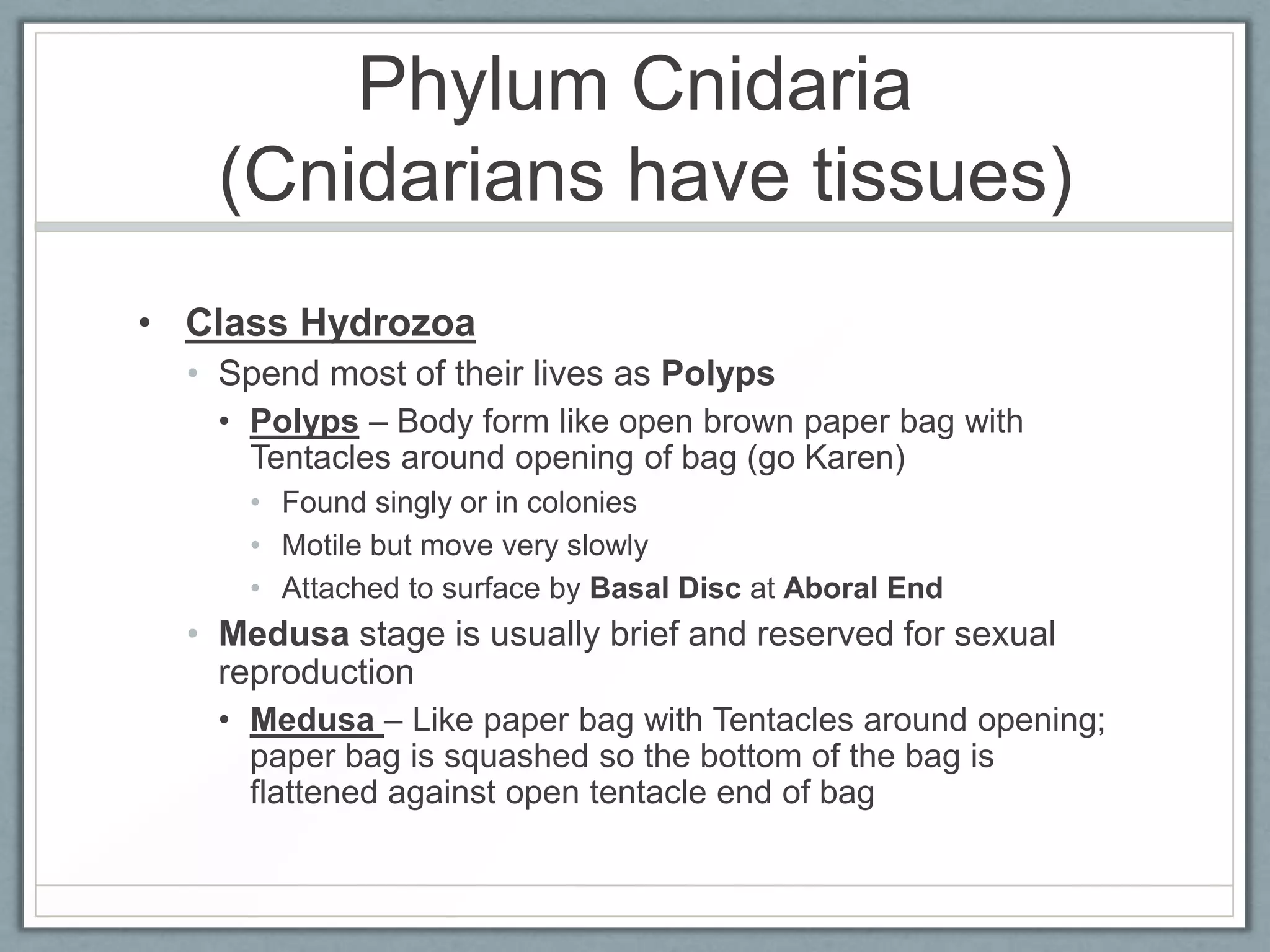 Phylum Cnidaria
   (Cnidarians have tissues)
• Class Hydrozoa
  • Spend most of their lives as Polyps
    • Polyps – Body form like open brown paper bag with
      Tentacles around opening of bag (go Karen)
      • Found singly or in colonies
      • Motile but move very slowly
      • Attached to surface by Basal Disc at Aboral End
  • Medusa stage is usually brief and reserved for sexual
    reproduction
    • Medusa – Like paper bag with Tentacles around opening;
      paper bag is squashed so the bottom of the bag is
      flattened against open tentacle end of bag
 