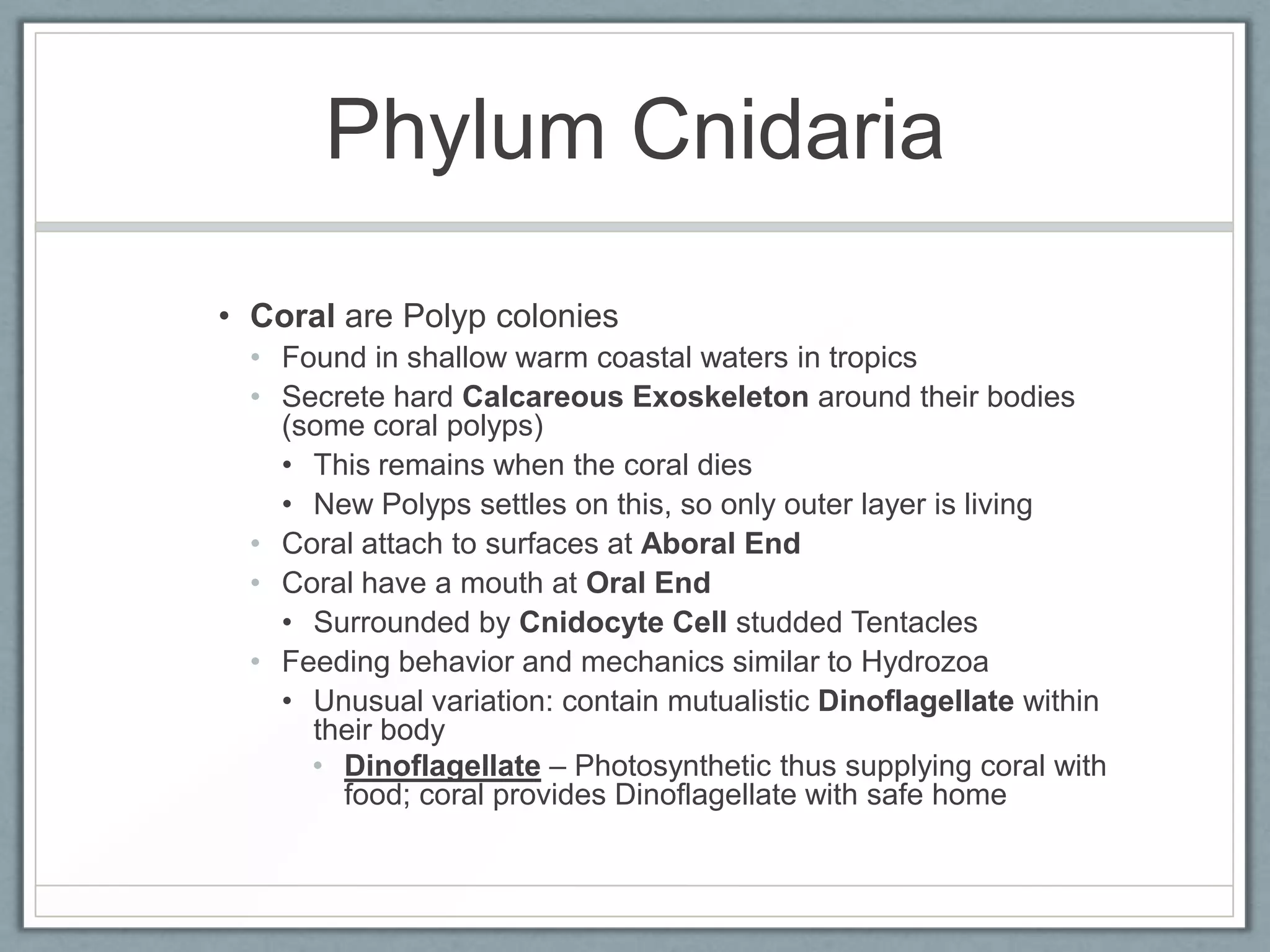 Phylum Cnidaria
• Coral are Polyp colonies
  • Found in shallow warm coastal waters in tropics
  • Secrete hard Calcareous Exoskeleton around their bodies
    (some coral polyps)
    • This remains when the coral dies
    • New Polyps settles on this, so only outer layer is living
  • Coral attach to surfaces at Aboral End
  • Coral have a mouth at Oral End
    • Surrounded by Cnidocyte Cell studded Tentacles
  • Feeding behavior and mechanics similar to Hydrozoa
    • Unusual variation: contain mutualistic Dinoflagellate within
      their body
      • Dinoflagellate – Photosynthetic thus supplying coral with
        food; coral provides Dinoflagellate with safe home
 