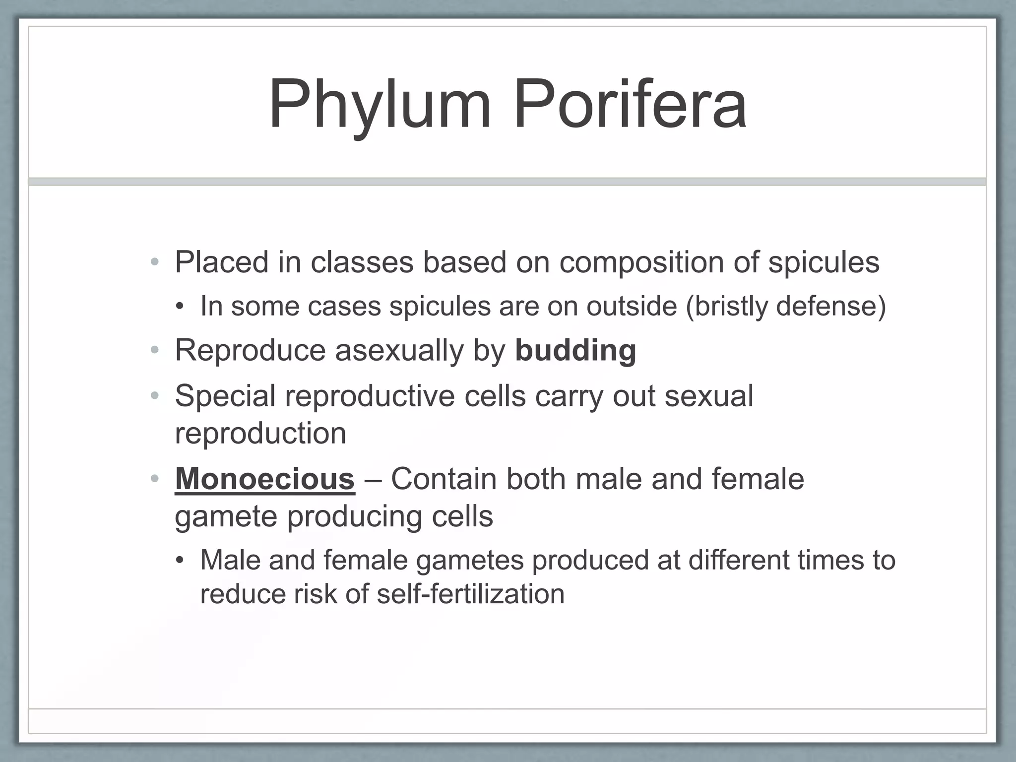 Phylum Porifera

• Placed in classes based on composition of spicules
 • In some cases spicules are on outside (bristly defense)
• Reproduce asexually by budding
• Special reproductive cells carry out sexual
  reproduction
• Monoecious – Contain both male and female
  gamete producing cells
 • Male and female gametes produced at different times to
   reduce risk of self-fertilization
 