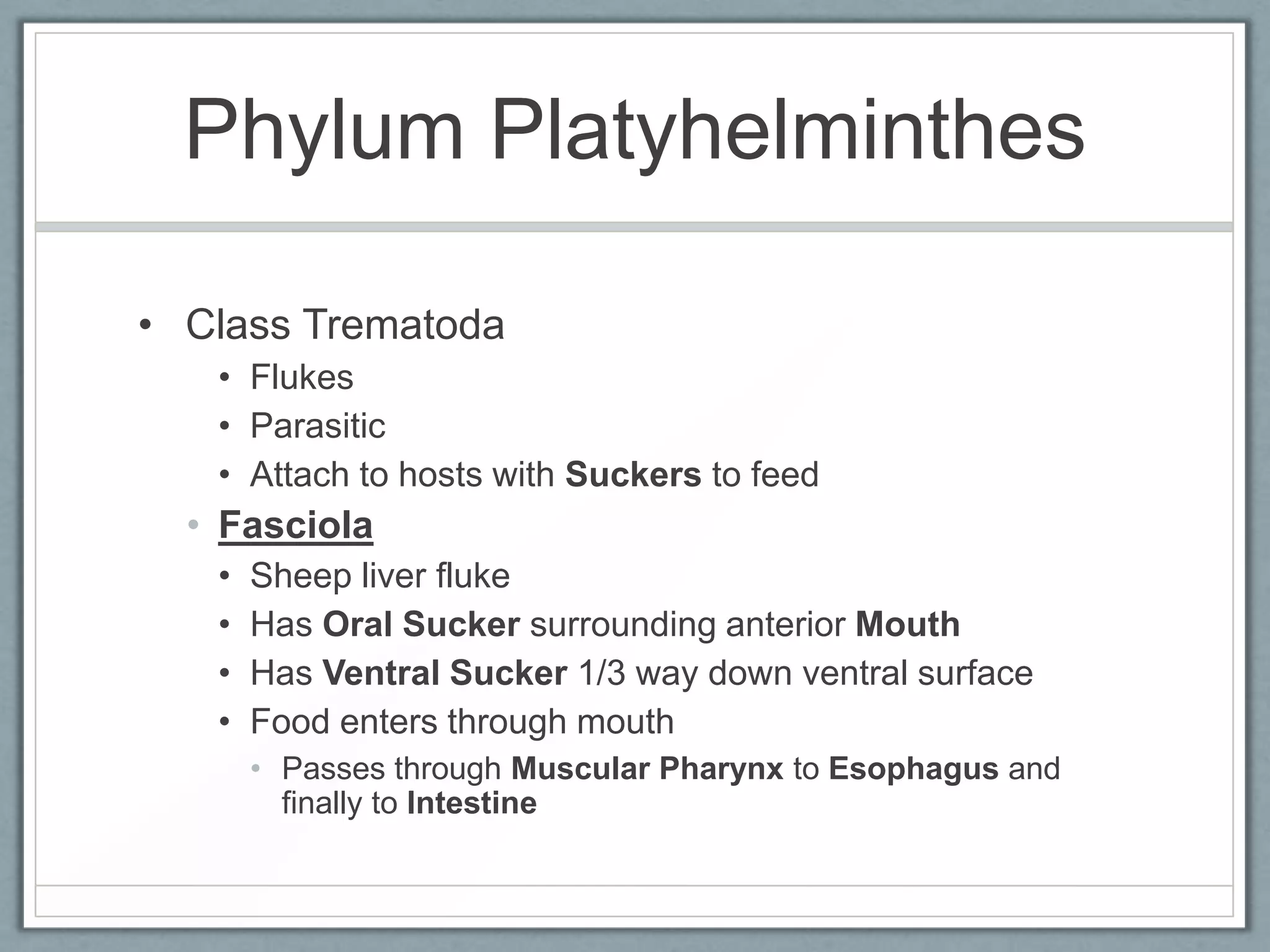 Phylum Platyhelminthes

• Class Trematoda
   • Flukes
   • Parasitic
   • Attach to hosts with Suckers to feed
  • Fasciola
   •   Sheep liver fluke
   •   Has Oral Sucker surrounding anterior Mouth
   •   Has Ventral Sucker 1/3 way down ventral surface
   •   Food enters through mouth
       • Passes through Muscular Pharynx to Esophagus and
         finally to Intestine
 