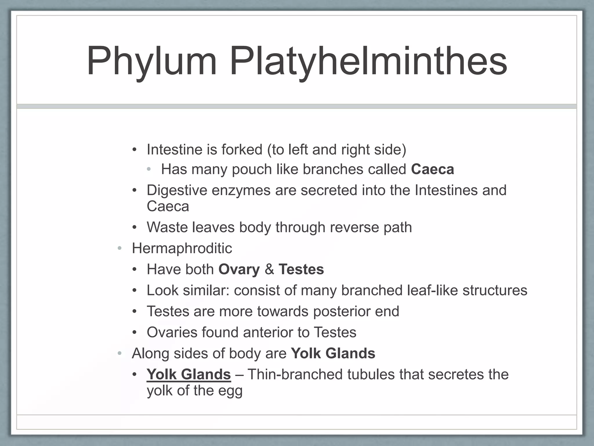 Phylum Platyhelminthes

   • Intestine is forked (to left and right side)
     • Has many pouch like branches called Caeca
   • Digestive enzymes are secreted into the Intestines and
     Caeca
   • Waste leaves body through reverse path
 • Hermaphroditic
   • Have both Ovary & Testes
   • Look similar: consist of many branched leaf-like structures
   • Testes are more towards posterior end
   • Ovaries found anterior to Testes
 • Along sides of body are Yolk Glands
   • Yolk Glands – Thin-branched tubules that secretes the
     yolk of the egg
 