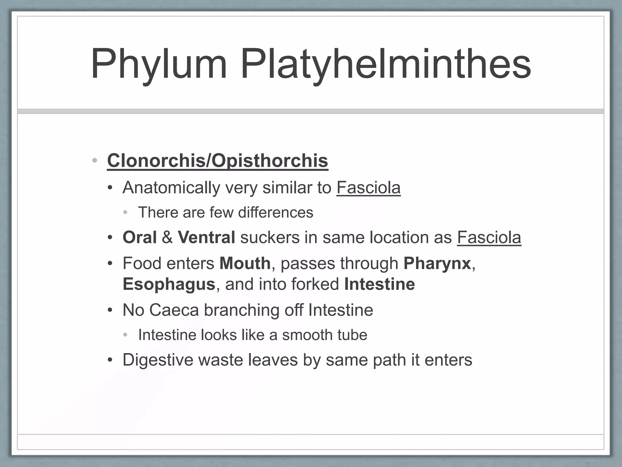 Phylum Platyhelminthes

• Clonorchis/Opisthorchis
 • Anatomically very similar to Fasciola
   • There are few differences
 • Oral & Ventral suckers in same location as Fasciola
 • Food enters Mouth, passes through Pharynx,
   Esophagus, and into forked Intestine
 • No Caeca branching off Intestine
   • Intestine looks like a smooth tube
 • Digestive waste leaves by same path it enters
 