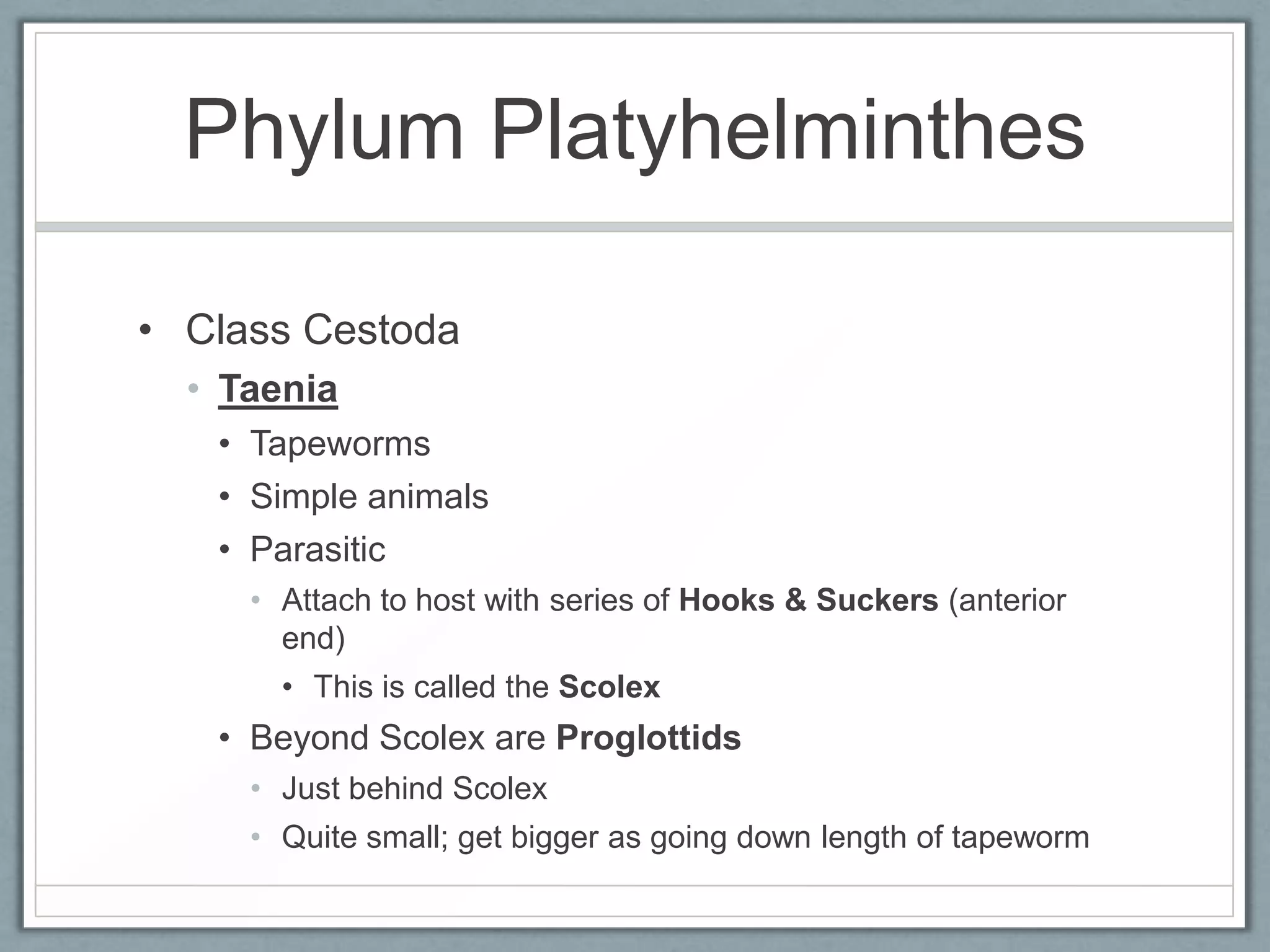 Phylum Platyhelminthes

• Class Cestoda
  • Taenia
   • Tapeworms
   • Simple animals
   • Parasitic
     • Attach to host with series of Hooks & Suckers (anterior
       end)
       • This is called the Scolex
   • Beyond Scolex are Proglottids
     • Just behind Scolex
     • Quite small; get bigger as going down length of tapeworm
 