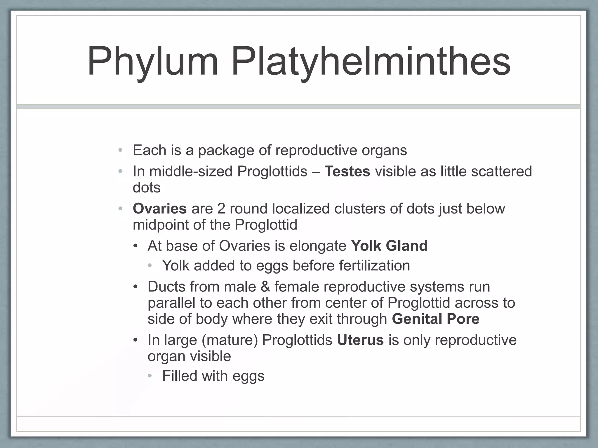 Phylum Platyhelminthes

 • Each is a package of reproductive organs
 • In middle-sized Proglottids – Testes visible as little scattered
   dots
 • Ovaries are 2 round localized clusters of dots just below
   midpoint of the Proglottid
   • At base of Ovaries is elongate Yolk Gland
     • Yolk added to eggs before fertilization
   • Ducts from male & female reproductive systems run
      parallel to each other from center of Proglottid across to
      side of body where they exit through Genital Pore
   • In large (mature) Proglottids Uterus is only reproductive
      organ visible
     • Filled with eggs
 