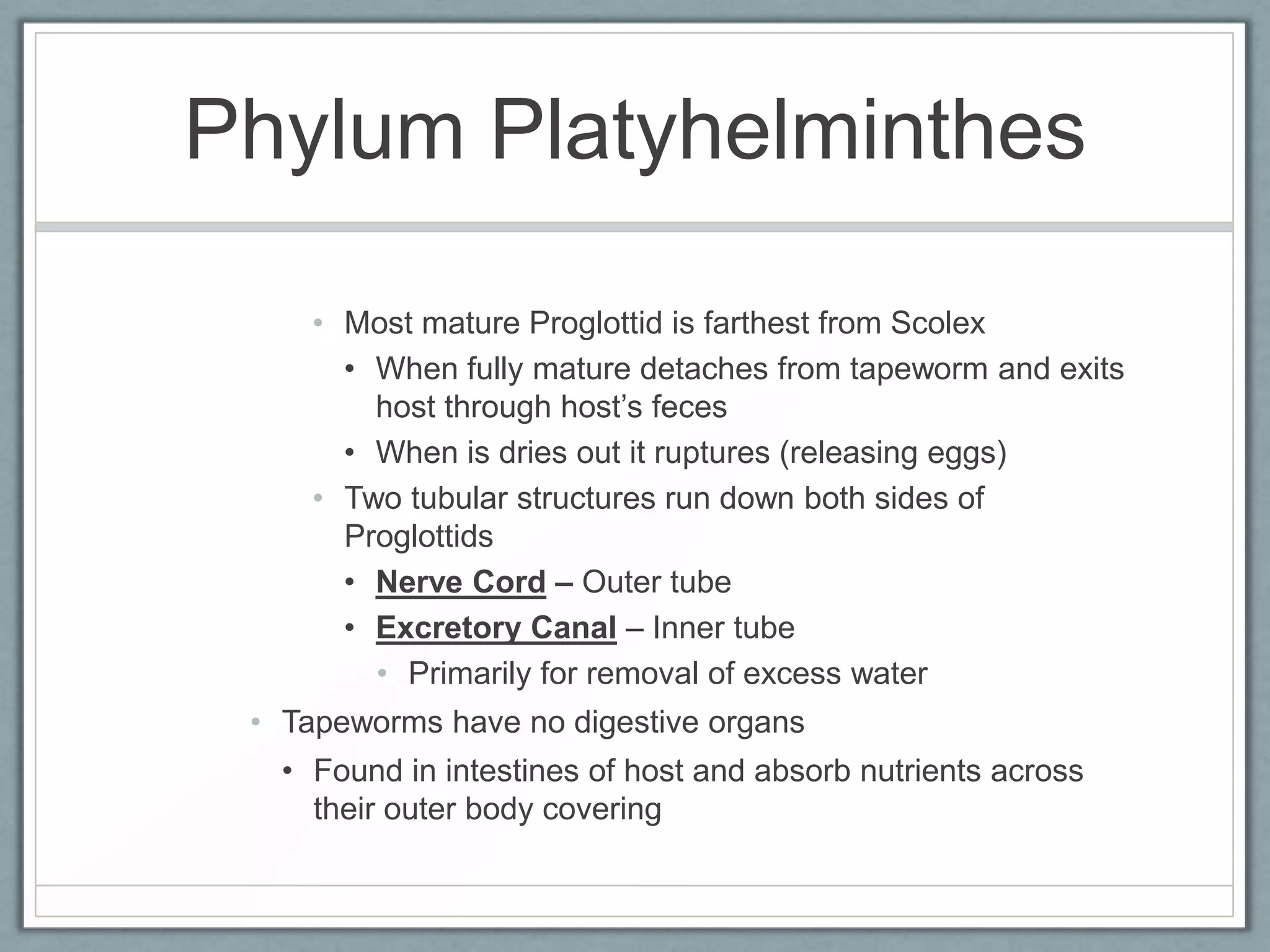 Phylum Platyhelminthes

     • Most mature Proglottid is farthest from Scolex
       • When fully mature detaches from tapeworm and exits
         host through host’s feces
       • When is dries out it ruptures (releasing eggs)
     • Two tubular structures run down both sides of
       Proglottids
       • Nerve Cord – Outer tube
       • Excretory Canal – Inner tube
         • Primarily for removal of excess water
 • Tapeworms have no digestive organs
   • Found in intestines of host and absorb nutrients across
     their outer body covering
 