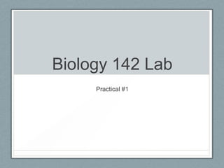 Biology 142 Lab
     Practical #1
 