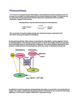 is the process by which plants, some bacteria and some protistans use the
energy from sunlight to produce glucose from carbon dioxide and water. This glucose can
be converted into pyruvate which releases adenosine triphosphate (ATP) by cellular
respiration. Oxygen is also formed.
Photosynthesis may be summarised by the word equation:
carbon dioxide +
water
glucose +
oxygen
The conversion of usable sunlight energy into chemical energy is associated with
the action of the green pigment chlorophyll.
During photosynthesis, light energy is absorbed by chlorophyll, a green pigment found
in the chloroplasts. This energy is used to power a series of complex chemical reactions
that ultimately result in the production of glucose. The carbon dioxide required for this
process is obtained from the atmosphere, while the water is absorbed through the
roots of the plant.
In addition to producing glucose, photosynthesis also plays a crucial role in the production of
oxygen. The oxygen released during photosynthesis is essential for the survival of most living
organisms, as it is used in cellular respiration to generate energy.
 