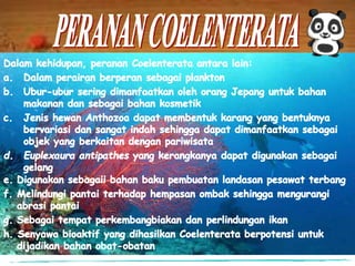 Biology Presentation