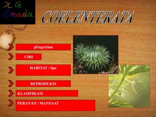 CIRI
pEngertian
REPRODUKSI
KLASIFIKASI
PERANAN / MANFAAT
HABITAT / tipe
 