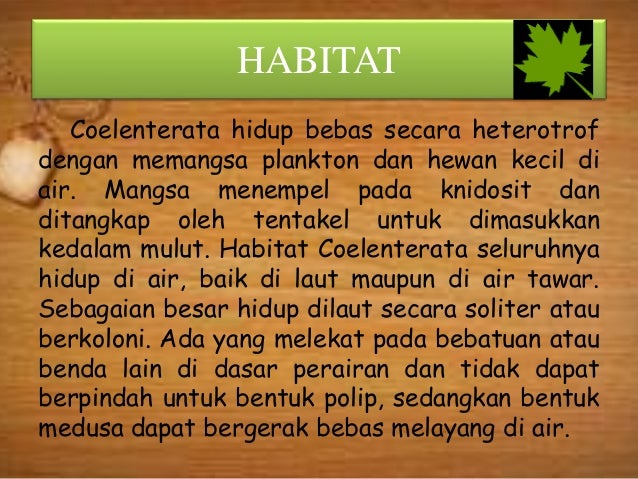 Biology Presentation