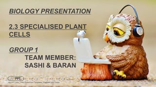 BIOLOGY PRESENTATION
2.3 SPECIALISED PLANT
CELLS
GROUP 1
TEAM MEMBER:
SASHI & BARAN
ALLPPT.com _ Free PowerPoint Templates, Diagrams and Charts
 