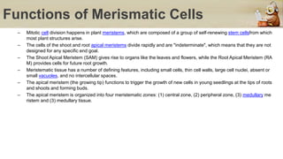 STPM Sem 1 plant Biology presentation slide | PPT