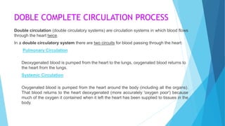 DOBLE COMPLETE CIRCULATION PROCESS
Double circulation (double circulatory systems) are circulation systems in which blood flows
through the heart twice.
In a double circulatory system there are two circuits for blood passing through the heart:
Pulmonary Circulation
Deoxygenated blood is pumped from the heart to the lungs, oxygenated blood returns to
the heart from the lungs.
Systemic Circulation
Oxygenated blood is pumped from the heart around the body (including all the organs).
That blood returns to the heart deoxygenated (more accurately 'oxygen poor') because
much of the oxygen it contained when it left the heart has been supplied to tissues in the
body.
 