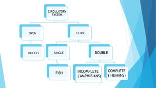 CIRCULATORY
SYSTEM
OPEN
INSECTS
CLOSE
SINGLE DOUBLE
FISH INCOMPLETE
( AMPHIBIANS)
COMPLETE
( HUMANS)
 