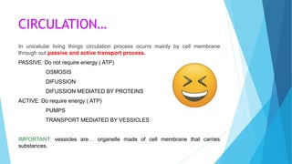 CIRCULATION…
In unicelular living things circulation process ocurrs mainly by cell membrane
through out passive and active transport process.
PASSIVE: Do not require energy ( ATP)
OSMOSIS
DIFUSSION
DIFUSSION MEDIATED BY PROTEINS
ACTIVE: Do require energy ( ATP)
PUMPS
TRANSPORT MEDIATED BY VESSICLES
IMPORTANT: vessicles are… organelle made of cell membrane that carries
substances.
 