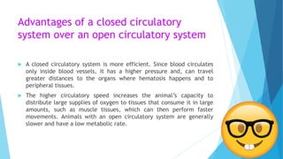 Advantages of a closed circulatory
system over an open circulatory system
 A closed circulatory system is more efficient. Since blood circulates
only inside blood vessels, it has a higher pressure and, can travel
greater distances to the organs where hematosis happens and to
peripheral tissues.
 The higher circulatory speed increases the animal’s capacity to
distribute large supplies of oxygen to tissues that consume it in large
amounts, such as muscle tissues, which can then perform faster
movements. Animals with an open circulatory system are generally
slower and have a low metabolic rate.
 