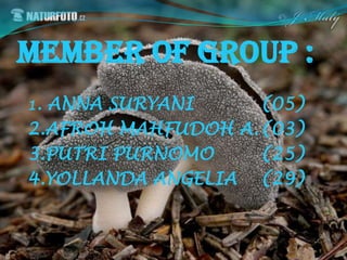 Member of group :
1.ANNA SURYANI      (05)
2.AFROH MAHFUDOH A. (03)
3.PUTRI PURNOMO     (25)
4.YOLLANDA ANGELIA (29)
 