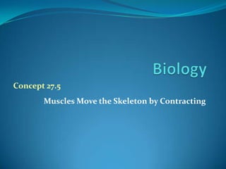 Biology Concept 27.5 MusclesMovetheSkeletonbyContracting 
