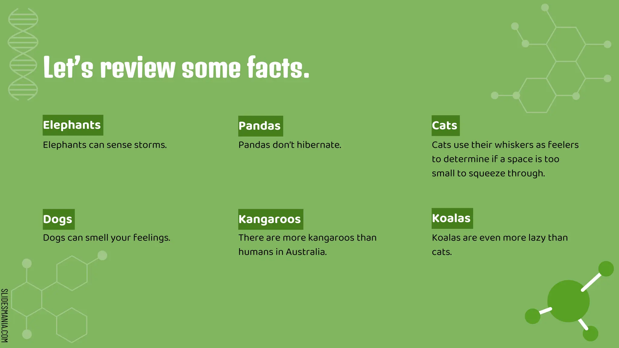 Biology Presentation b· SlidesMania.pptx