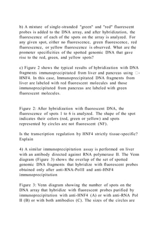 Biology problem set #2 part i to study the control of ge | PDF