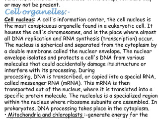function, with minor differences in the setup. Cell walls may
or may not be present.
Cell organelles:-
Cell nucleus: A cell's information center, the cell nucleus is
the most conspicuous organelle found in a eukaryotic cell. It
houses the cell's chromosomes, and is the place where almost
all DNA replication and RNA synthesis (transcription) occur.
The nucleus is spherical and separated from the cytoplasm by
a double membrane called the nuclear envelope. The nuclear
envelope isolates and protects a cell's DNA from various
molecules that could accidentally damage its structure or
interfere with its processing. During
processing, DNA is transcribed, or copied into a special RNA,
called messenger RNA (mRNA). This mRNA is then
transported out of the nucleus, where it is translated into a
specific protein molecule. The nucleolus is a specialized region
within the nucleus where ribosome subunits are assembled. In
prokaryotes, DNA processing takes place in the cytoplasm.
• Mitochondria and chloroplasts :-generate energy for the
 