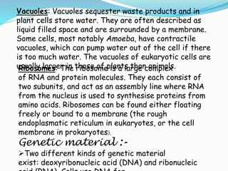 Vacuoles: Vacuoles sequester waste products and in
plant cells store water. They are often described as
liquid filled space and are surrounded by a membrane.
Some cells, most notably Amoeba, have contractile
vacuoles, which can pump water out of the cell if there
is too much water. The vacuoles of eukaryotic cells are
usually larger in those of plants than animals.Ribosomes: The ribosome is a large complex
of RNA and protein molecules. They each consist of
two subunits, and act as an assembly line where RNA
from the nucleus is used to synthesise proteins from
amino acids. Ribosomes can be found either floating
freely or bound to a membrane (the rough
endoplasmatic reticulum in eukaryotes, or the cell
membrane in prokaryotes).
Genetic material :-
Two different kinds of genetic material
exist: deoxyribonucleic acid (DNA) and ribonucleic
 