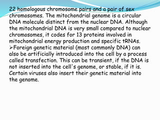 22 homologous chromosome pairs and a pair of sex
chromosomes. The mitochondrial genome is a circular
DNA molecule distinct from the nuclear DNA. Although
the mitochondrial DNA is very small compared to nuclear
chromosomes, it codes for 13 proteins involved in
mitochondrial energy production and specific tRNAs.
Foreign genetic material (most commonly DNA) can
also be artificially introduced into the cell by a process
called transfection. This can be transient, if the DNA is
not inserted into the cell's genome, or stable, if it is.
Certain viruses also insert their genetic material into
the genome.
 