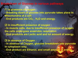 Breakdown of Glucose in various pathways
� ⑴ In presence of oxygen :
- Breaking down of glucose into pyruvate takes place in
Mitochondria of a cell.
- End products are CO₂ , H₂O and energy.
⑵ In insufficient presence of oxygen :
- In muscle cells, due to insufficient presence of oxygen
the cells undergoes anaerobic respiration.
- End products are Lactic acid and lot amount of energy.
⑶ In absence of Oxygen :
- In absence of Oxygen, glucose breakdown into pyruvate
in cytoplasm only.
- End product are Ethanol, and small amount of energy.
 