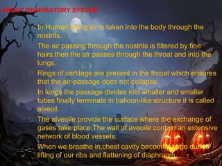 ABOUT RESPIRATORY SYSTEM
� In Human being air is taken into the body through the
nostrils.
� The air passing through the nostrils is filtered by fine
hairs.then the air passes through the throat and into the
lungs.
� Rings of cartilage are present in the throat which ensures
that the air-passage does not collapse.
� In lungs the passage divides into smaller and smaller
tubes finally terminate in balloon-like structure it is called
alveoil.
� The alveoile provide the surface where the exchange of
gases take place.The wall of aveoile contain an extensive
network of blood vessels.
� When we breathe in,chest cavity becomes large due to
lifting of our ribs and flattening of diaphragm.
 