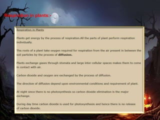 Respiration in plants:-
 