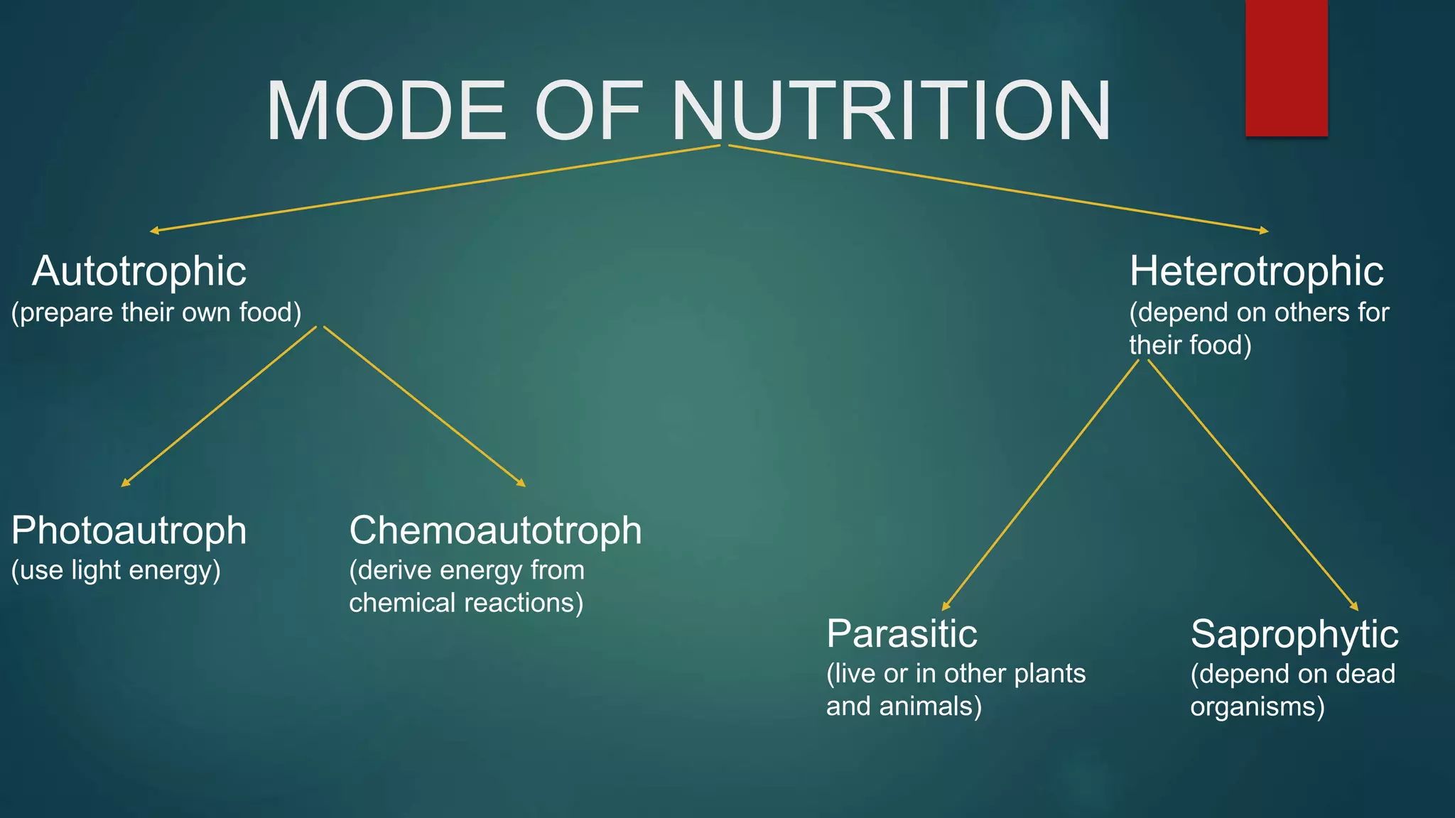 Biology project on Kingdom Monera | PPTX