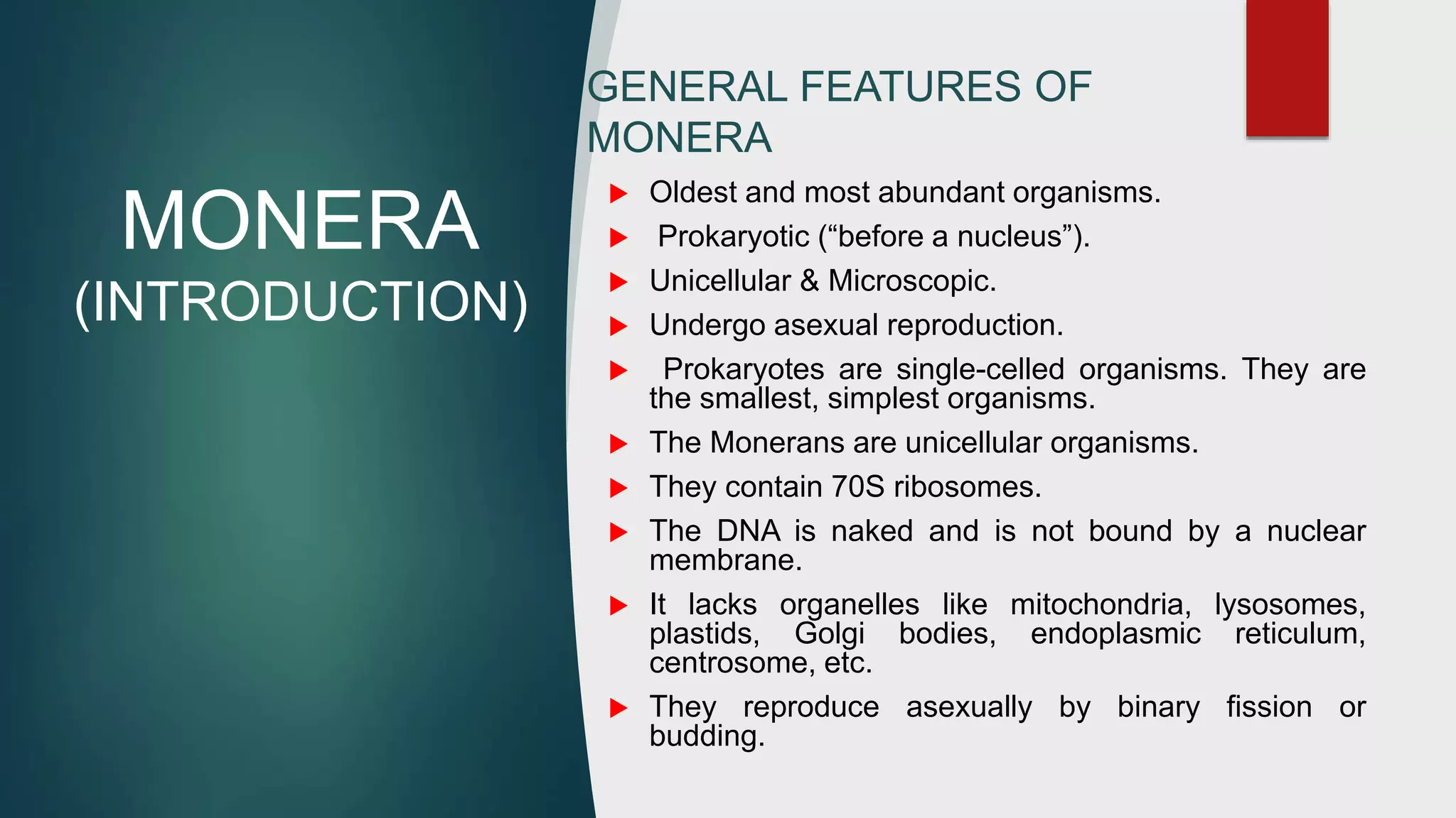 Biology project on Kingdom Monera | PPTX