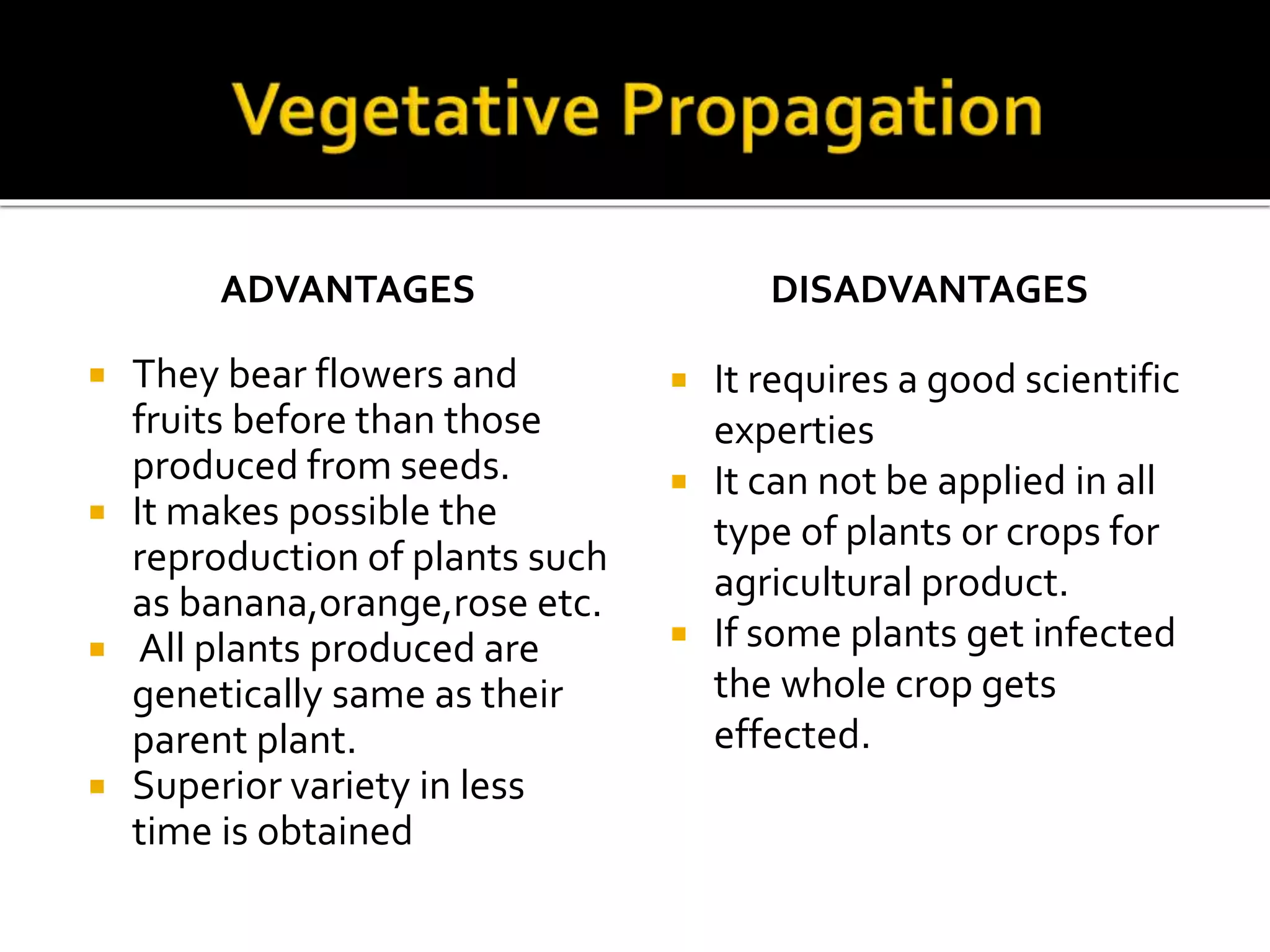 Vegetative Propagation artificial and natural | PPTX