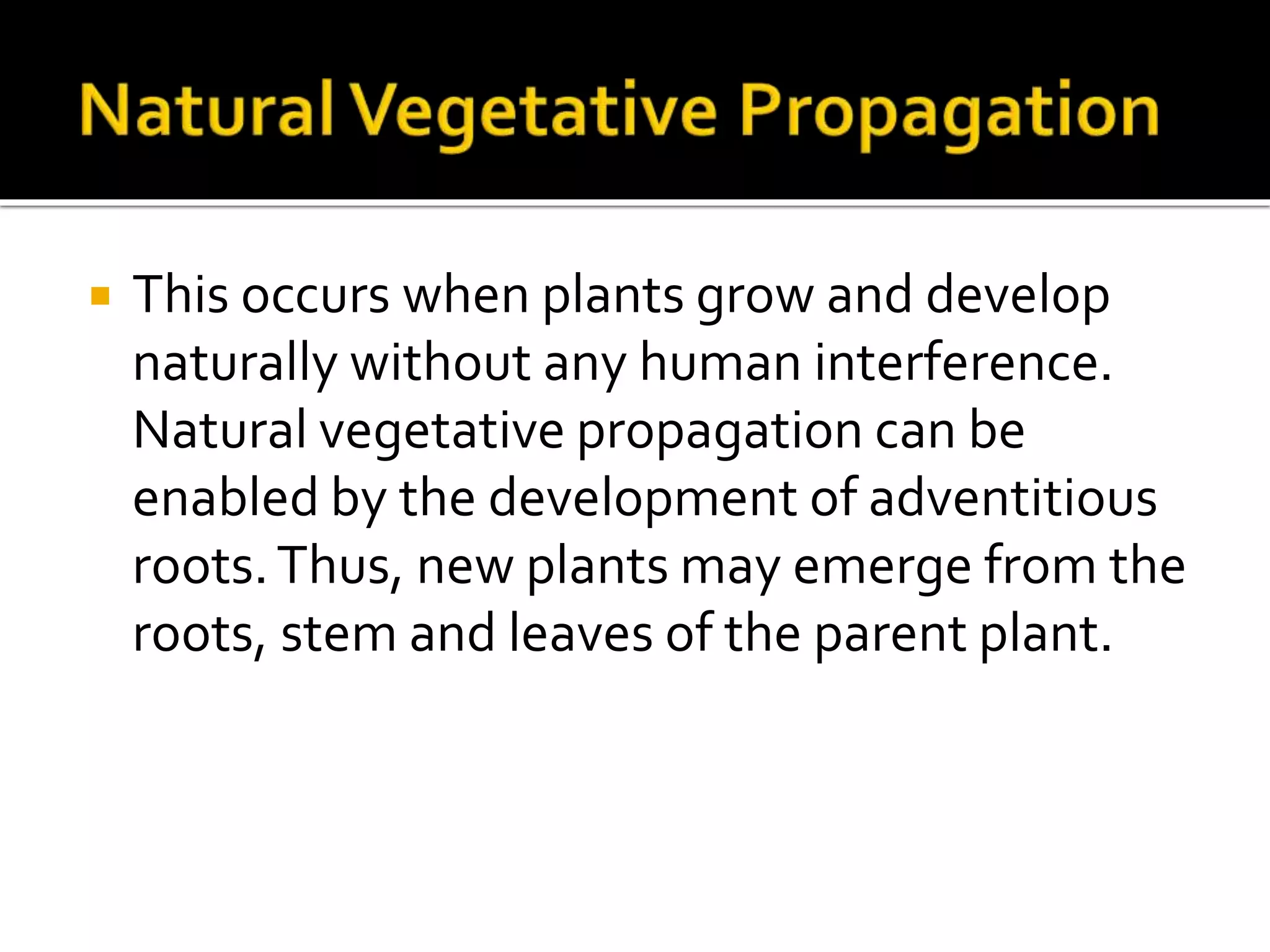 Vegetative Propagation artificial and natural PPT