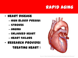 RAPID AGING
• Heart Disease
  – High blood pressure
  – Strokes
  – Angina
  – Enlarged heart
  – Heart failure
• Research provides keys in
    treating heart disease

                     Source: http://www.all2need.com/understanding-heart-disease/
 